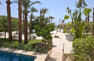 image 2025 12 11t164303.521.jpg