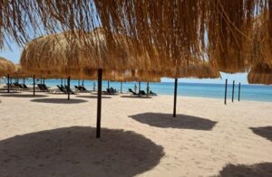 image 2025 12 11t164801.244