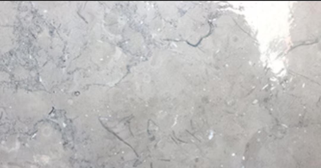 تريستا رمادي